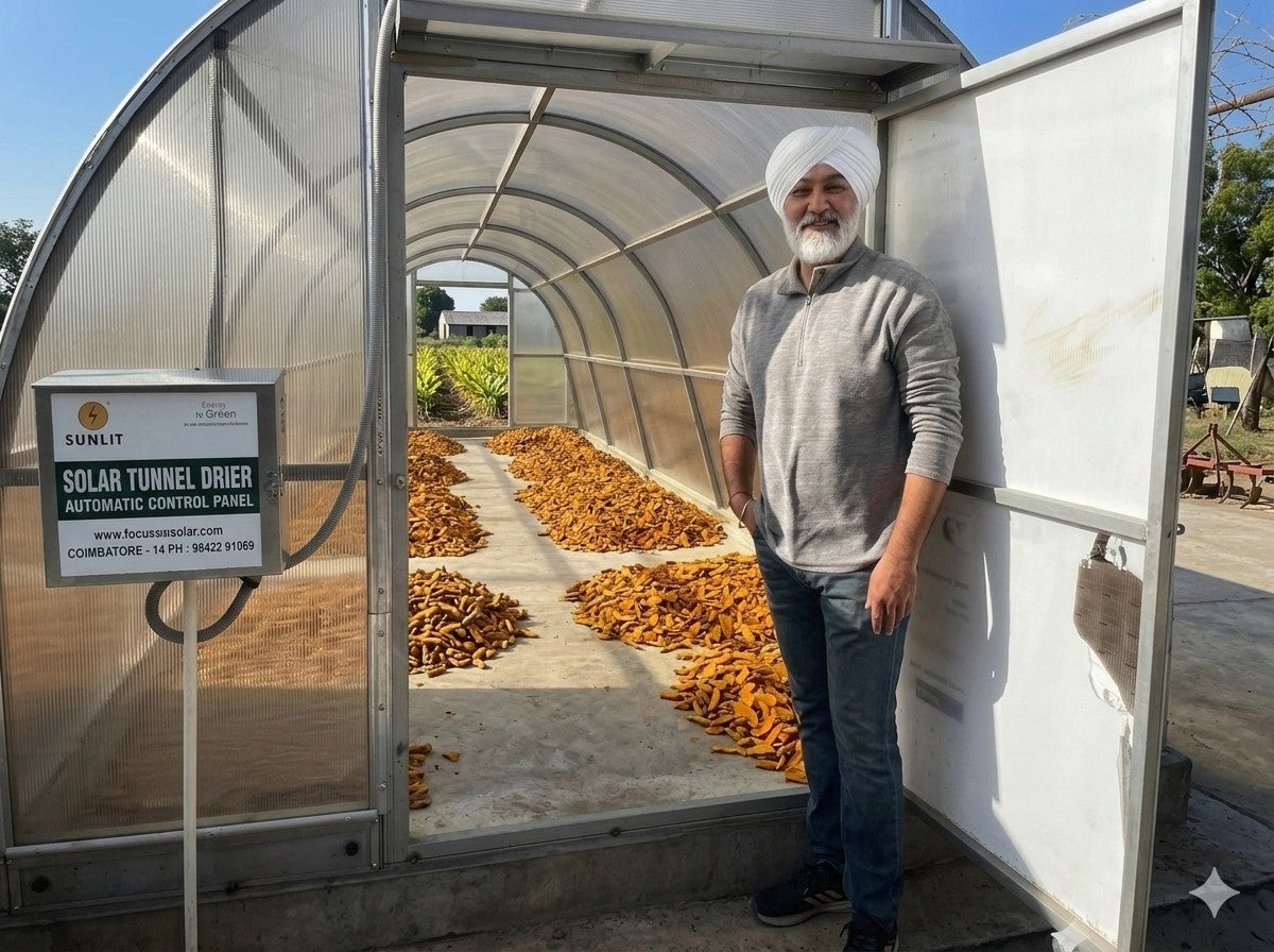Lakadong turmeric being naturaly sun-dried